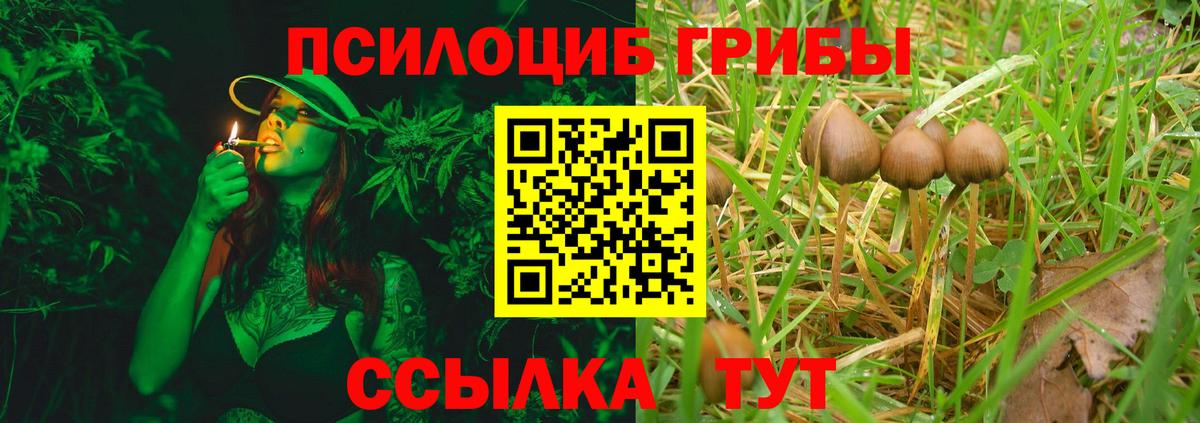 Надым  Псилоцибиновые грибы Cubensis  Вход с VPN 